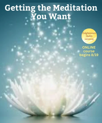 Therapeutic Yoga Series Online Series begins Monday 8/4